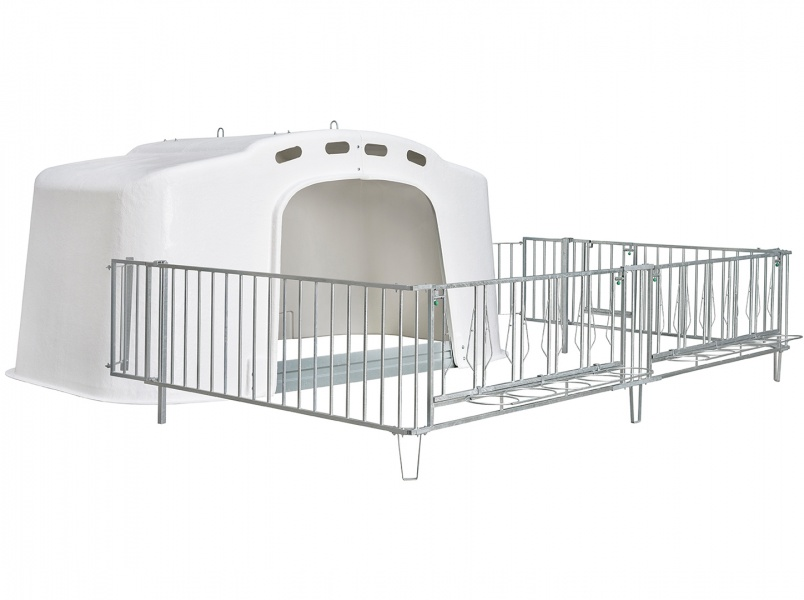 изображение_2024-02-08_144852599